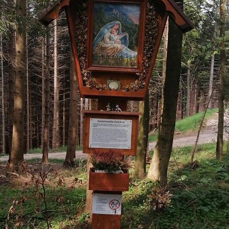Hoamatleuchten Pettenbach Exteriör bild