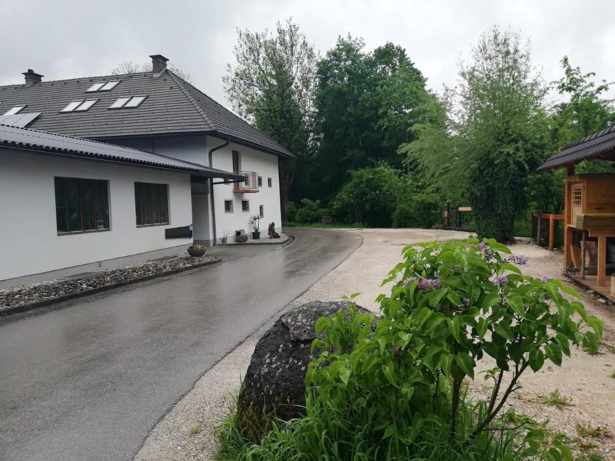 Hoamatleuchten Pettenbach Exteriör bild